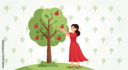 Joyful Woman Plucking Fresh Apples From a Lush Tree During the Harvest Season
