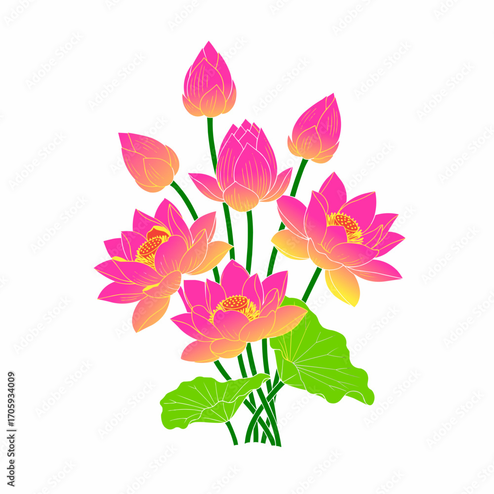 Obraz premium Pink lotus flower vector