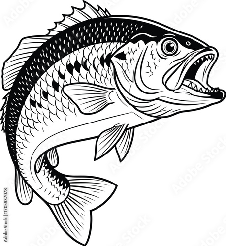 Black and white illustration of a largemouth bass fish jumping with mouth open leaping open mouth