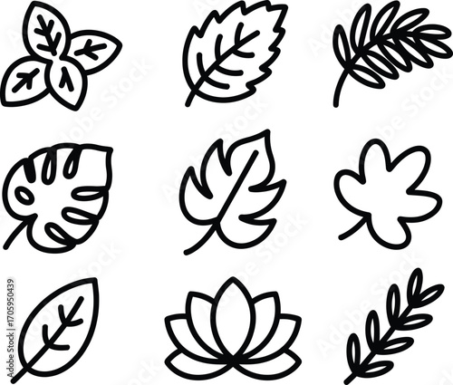 Collection of nine simple hand drawn line art botanical leaf illustrations