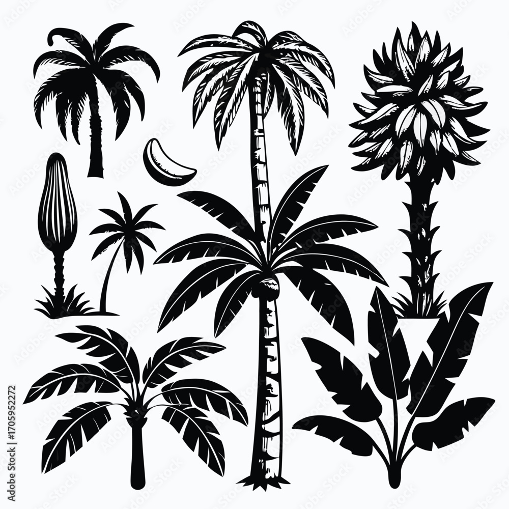Obraz premium Silhouette Collection of Tropical Palm Trees and Plants for Summer Decoration, Exotic Landscape and Botanical Designs