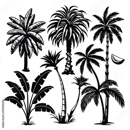 Black and White Silhouette Illustration of Assorted Tropical Plants and Palm Trees for Graphic Design and Creative Projects