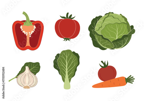 A collection of fresh vegetables including bell peppers tomatoes cabbage lettuce cauliflower and carrots.