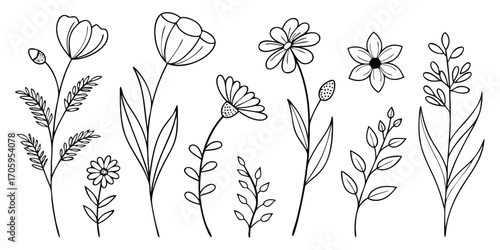 Botanical Line Art Collection Featuring Elegant Floral Designs A Variety of Flowers and Plants for Creative Projects and Artistic Endeavors