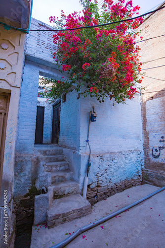 the old house