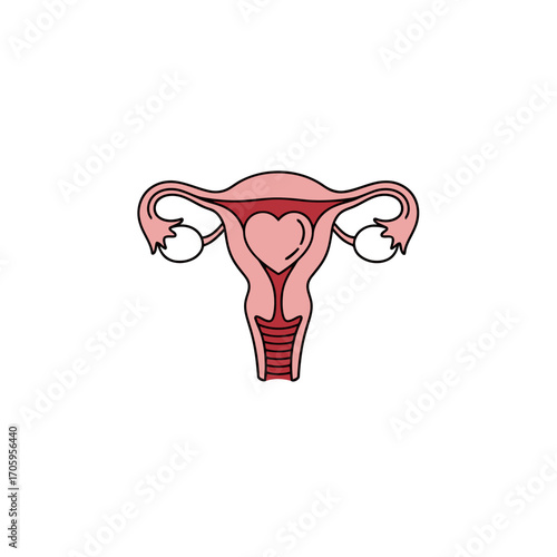 Female Reproductive System with a Heart Symbol