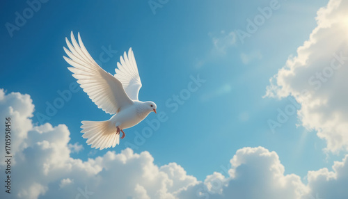 White Dove Flying Gracefully Against Bright Blue Sky with Clouds