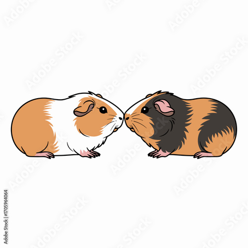 Pair of Guinea Pigs Facing Each Other Vector Illustration