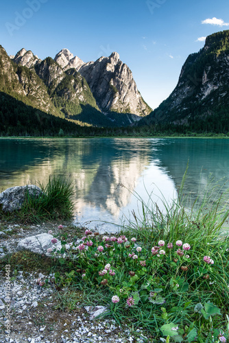 Wallpaper Mural Lake Dobbiaco or Toblacher See in the Dolomite Alps, South Tyrol, Italy Torontodigital.ca