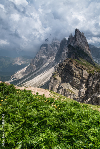 Wallpaper Mural Seceda Peaks and Alpine Meadow Trail in the Dolomite Alps Torontodigital.ca