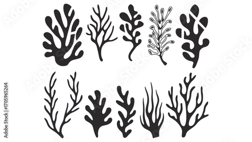 A diverse collection of black seaweed and coral silhouettes, perfect for marine-themed graphic design projects and illustrations
