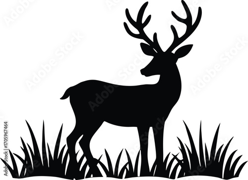 Deer in the grass silhouette vector illustration