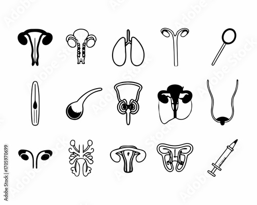 Collection of human reproductive and respiratory system icons
