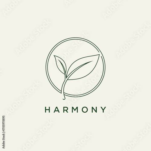 green tea leaves