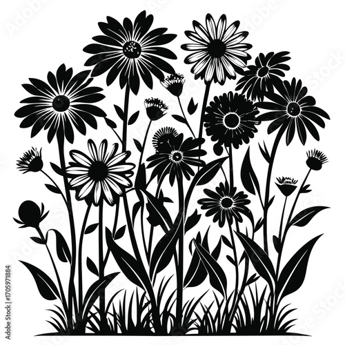A Silhouette of a Variety of Daisy Flowers, Featuring Different Shapes and Sizes and a Dense Thicket of Leaves and Grasses