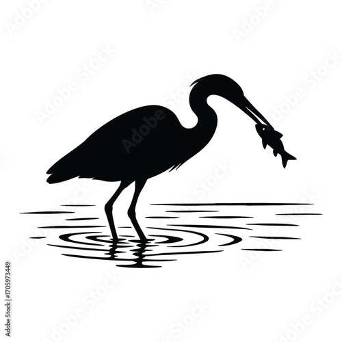 Silhouette of a heron catching a fish in its beak while standing in water bird fishing