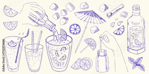 Hand drawn illustration of making refreshing summer drinks with citrus fruits ice and garnishes