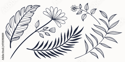 Elegant Botanical Line Art Collection A Serene Symphony of Flora and Foliage Gracefully Depicted with Delicate Strokes
