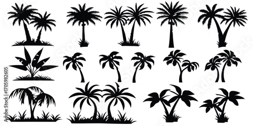 Black and White Palm Tree Silhouettes Graphic Resource Representing Tropical Paradise with Diverse Shapes and Arrangements for Exotic Decor