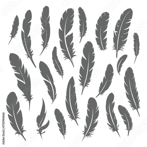 Collection of Feather Silhouettes