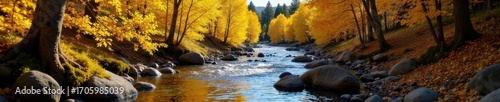 Golden aspen leaves frame a high-altitude Continental Divide stream , rocks, high country, breathtaking