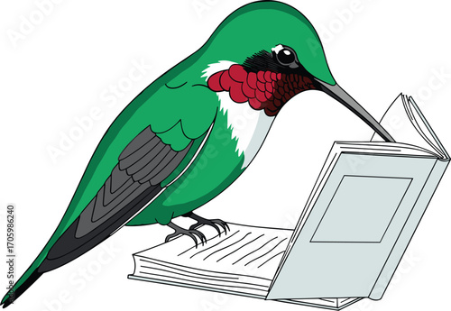 Cartoon hummingbird reading a book. Bird learns and studies the open pages.