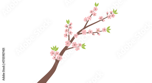 Illustration of cherry blossom branch with pink flowers and green leaves