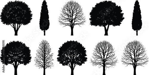 Silhouette vector of ten different tree shapes in black and white design for botany, landscaping, nature study, and artistic reference