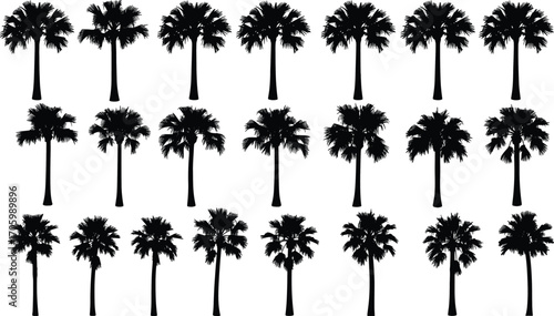 Silhouette vector of twenty-four palm trees in black and white design showing tropical diversity, frond shapes, and landscape pattern elements