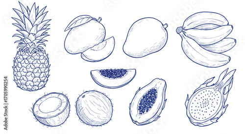 Hand-Drawn Sketch Collection of Tropical Fruits Pineapple, Mango, Banana, Coconut, Papaya, and Dragon Fruit
