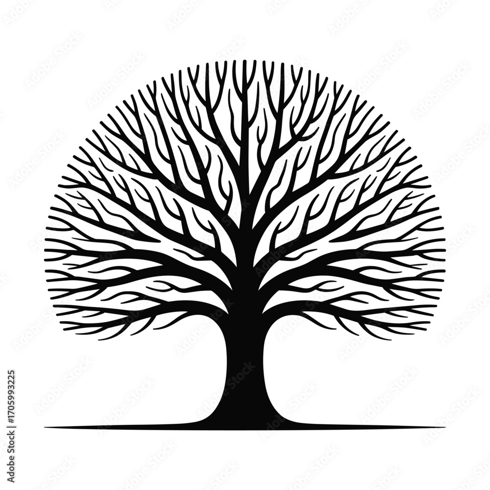 Naklejka premium Detailed bare tree branches forming a canopy silhouette against a white background