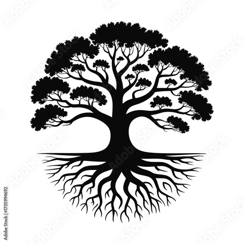 Detailed black silhouette of a mature tree with extensive root system silhouette