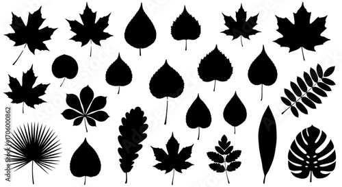 Black Silhouette Leaves Collection Vector Set Diverse Tree Foliage Icons Botanical Nature Elements Assortment Graphic Design
