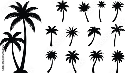 Palm tree silhouette collection, tropical nature icons, coconut tree vector set, beach paradise elements, summer vibe graphics, flat vector illustration.