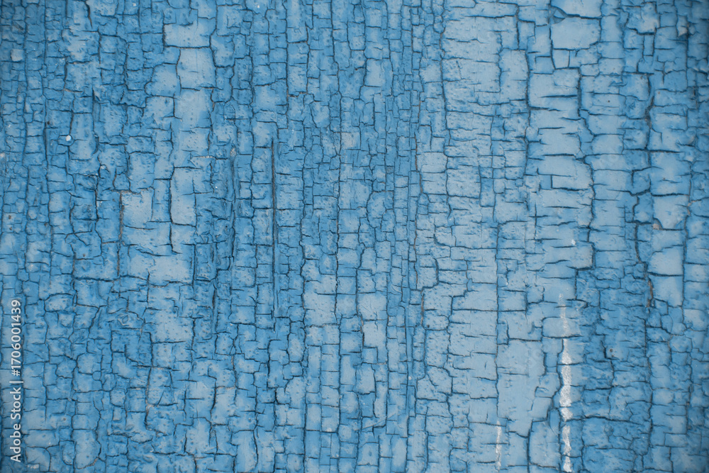 Naklejka premium Blue Haze Trend. Blue Haze Color. Blue Haze. Blue Haze Texture. Design Art. Wood Texture Tinted in Blue. Wood Texture