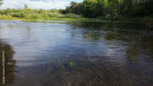 Panoramic video of a forest river with clear, transparent water. Camera movement from right to left.