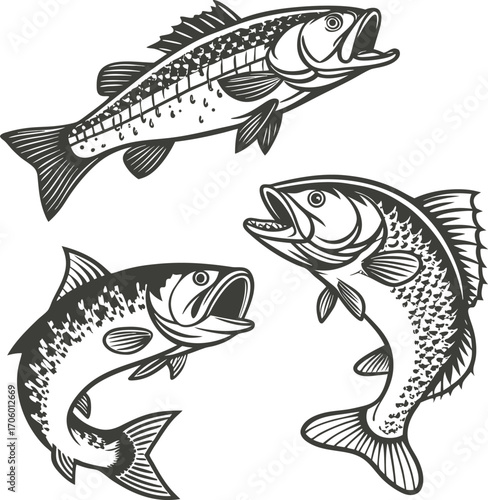 Set of Fish. Hand Drown Fishing Vector illustration Silhouette