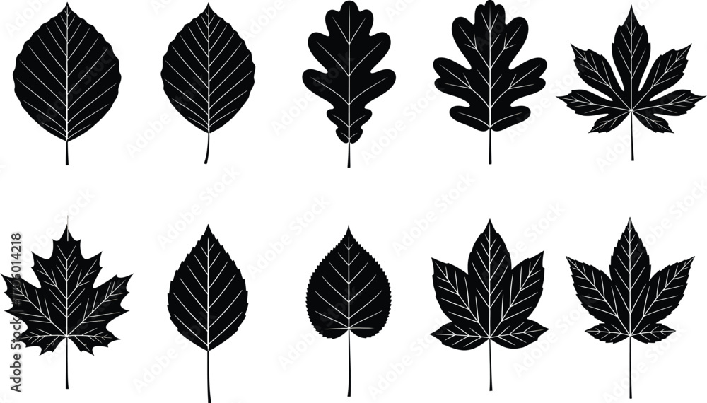 Obraz premium Leaf vector silhouette art pack