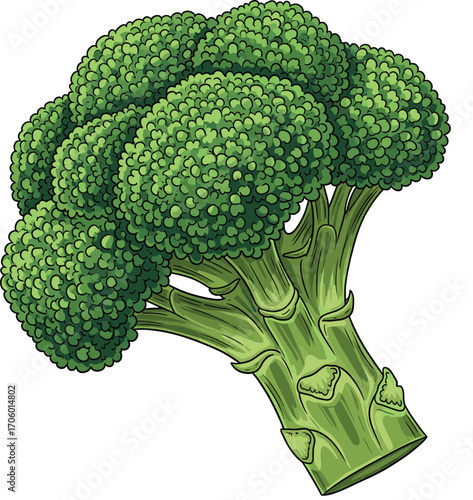 Detailed Broccoli Icon with Fresh Greens Vector 2