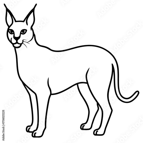 Elegant oriental shorthair cat standing profile view simple line drawing silhouette