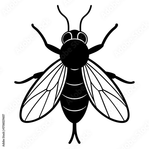 Stylized graphic illustration of a black fly silhouette with detailed wings and antennae