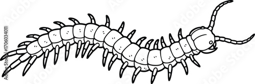 Centipede drawing insect illustration black and white outline