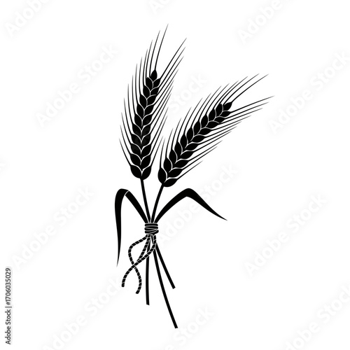 Vector art of bundle of wheat stalks tied together a symbol of unity, community, and the bounty of the harvest season