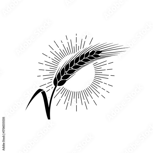Vector art of single wheat stalk with sunburst a symbol of agriculture, harvest, and natural abundance in a minimalist style