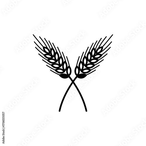 Vector art of two crossed wheat ears, a symbol of agriculture, harvest, and food production, perfect for branding and design projects