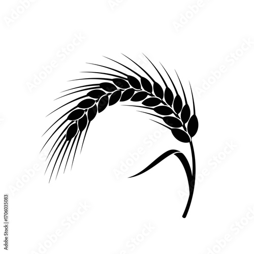 Vector art of curved wheat ear, a simple yet elegant symbol of agriculture, harvest, and natural abundance for branding and design projects