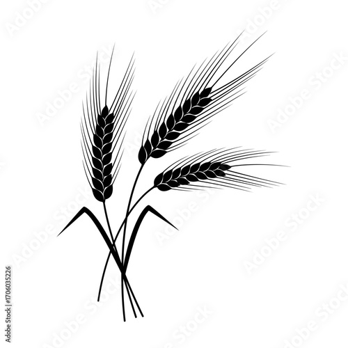 Illustration of three wheat ears, symbolizing abundance, prosperity, and the essence of agricultural wealth