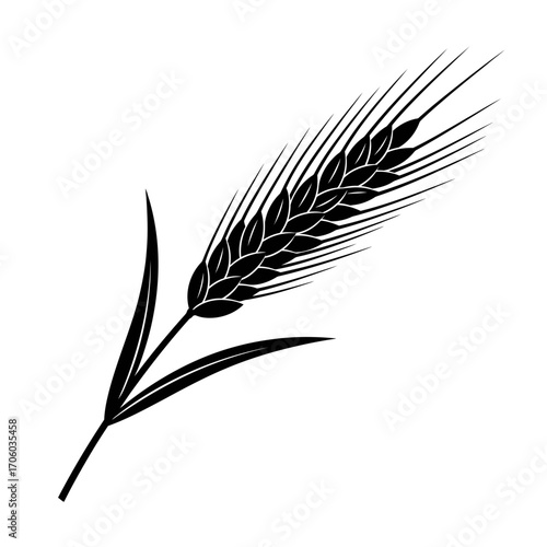 Vector art of single wheat ear, a symbol of agriculture and harvest, depicted in a simple black and white vector illustration