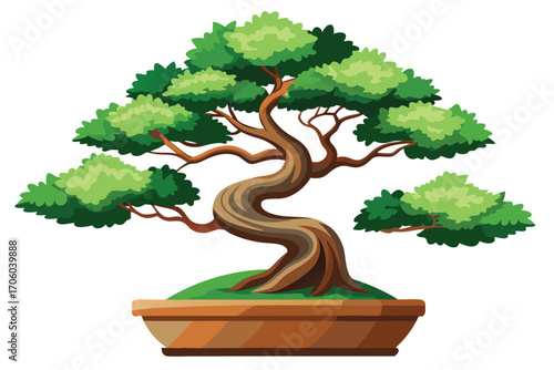Detailed Bonsai Tree Illustration Symbolizing Peace Harmony and Beauty Representing Traditional Japanese Art Forms