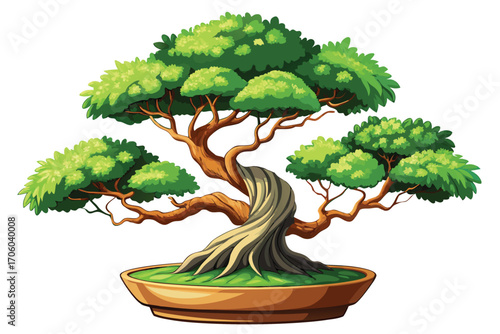 Beautiful Bonsai Tree with Green Leaves and Twisted Trunk in an Oval Brown Pot Detailed Vector